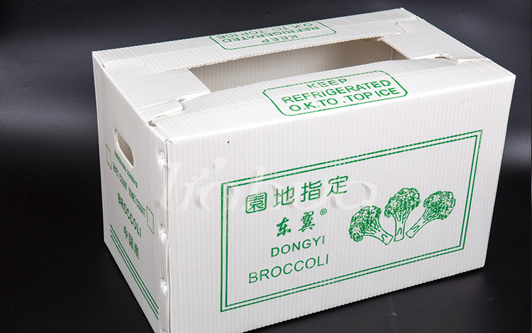 Brokkoli-Box-2